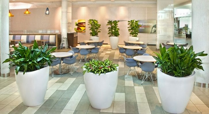 indoor seating area with potted plants
