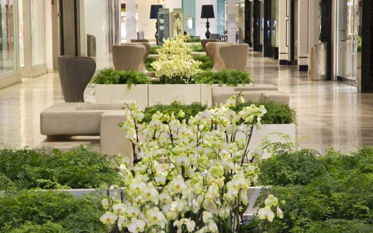 indoor plants in a commercial building