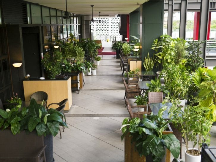 hallway with indoor plants in an office building 