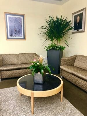 indoor plants in office seating area 