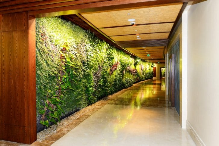 Interior Landscape Design (Green Wall)