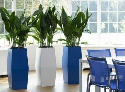 The Ultimate Glossary of Biophilic Design Terms